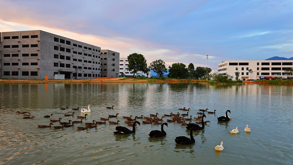 微信图片_20230711084730